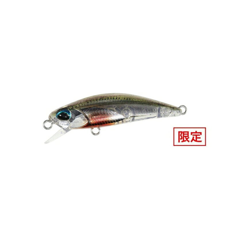 デュオ テトラワークス トト42S CSH0966 シラスEX