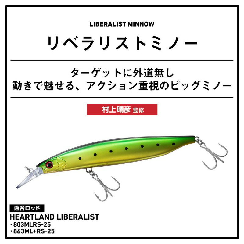 リベラリストミノー130S ミドキンイワシ (2)