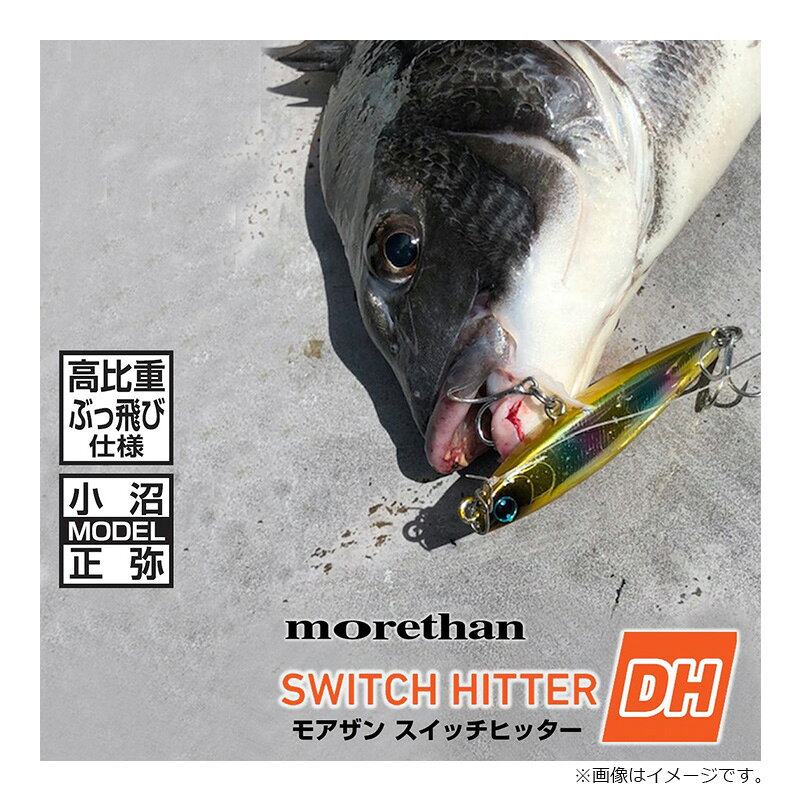MORETHAN スイッチヒッターDH59S 小沼スペシャル の商品画像2枚目