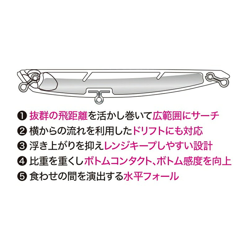 釣具のFTOのデュオ　ビーチウォーカー ビスタ100S CPB0054 玄海イワシ｜アングル3