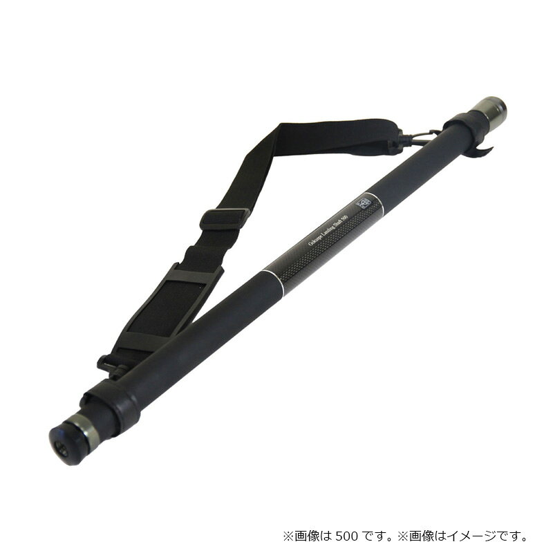 釣具のFTOのピュアテック　Gokuspe Evo-TooL ランディングシャフト 400｜アングル2