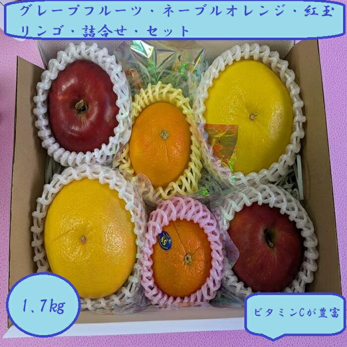 グレープフルーツ ホワイト ルビー ネーブルオレンジ 紅玉リンゴ 詰合せ セット