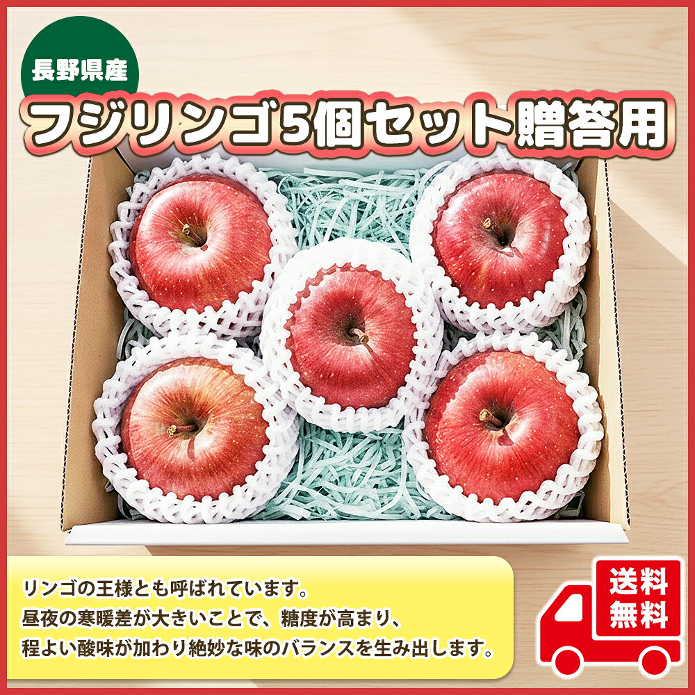 藤信フルーツ 楽天市場店のフジリンゴ 5個 セット ふじりんご 贈答用 家庭用 国産 りんご 詰め合わせ 贈り物 リンゴ フルーツプレゼント おいしい りんご詰め合わせ 林檎 送料無料 りんごセット 取り寄せ 美味しいりんご プレゼント ギフト 箱 買い りんご贈答用 果物ギフト 誕生日 お祝い｜アングル2