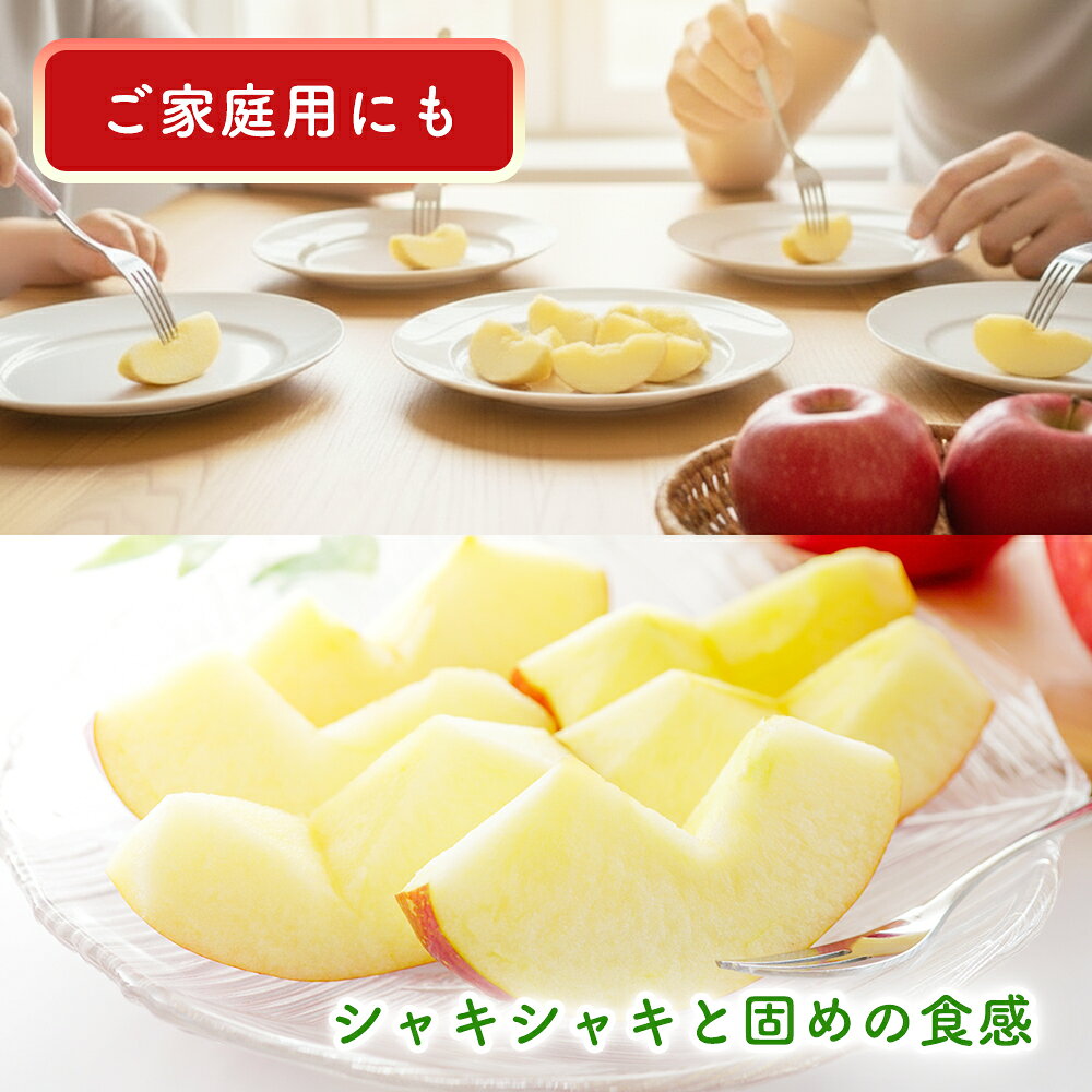 藤信フルーツ 楽天市場店のフジリンゴ 5個 セット ふじりんご 贈答用 家庭用 国産 りんご 詰め合わせ 贈り物 リンゴ フルーツプレゼント おいしい りんご詰め合わせ 林檎 送料無料 りんごセット 取り寄せ 美味しいりんご プレゼント ギフト 箱 買い りんご贈答用 果物ギフト 誕生日 お祝い｜アングル3