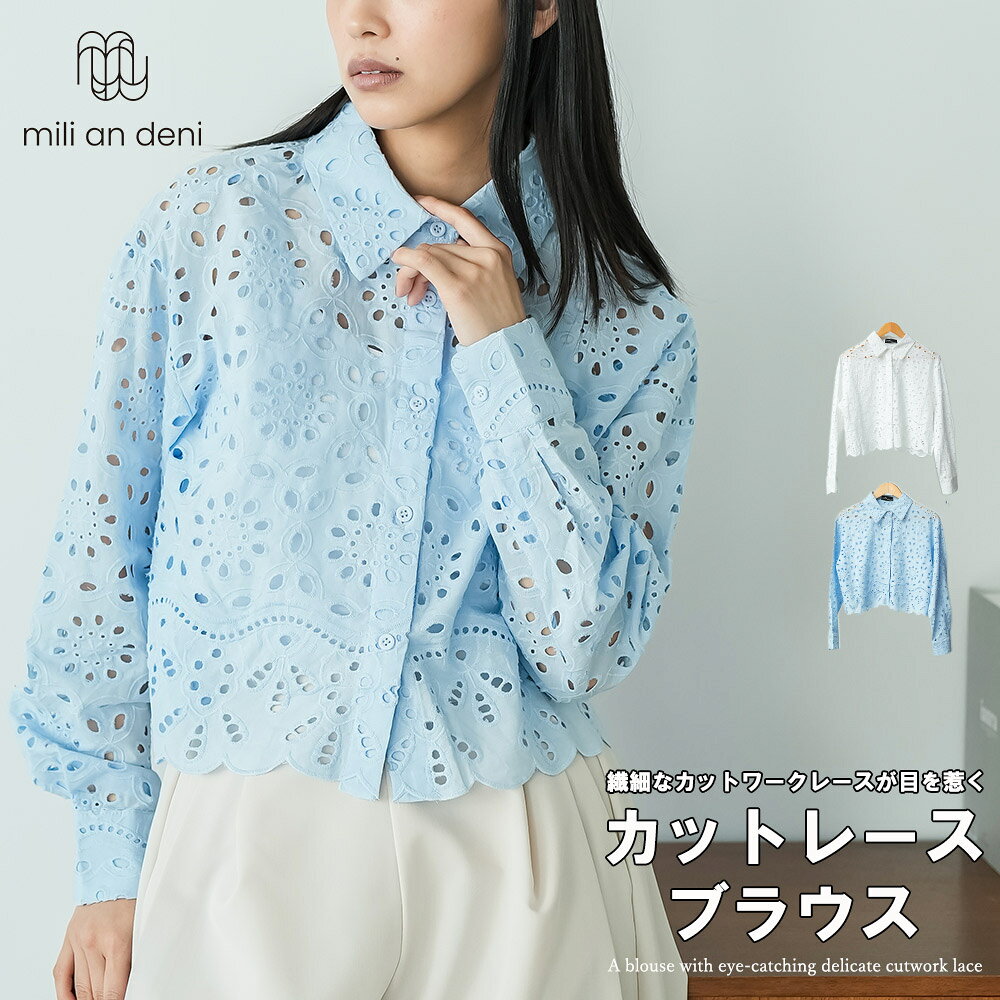 【25%OFFクーポン】カットレースブラウス ブラウス レディース カットワークレース シャツ 長袖 きれいめ 春 トップス オフィス 通勤 セレモニー 入学式 卒業式 体型カバー 上品 大人 カジュアル オンオフ トップス レディース 春 夏 秋 M ミリアンデニ
