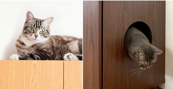 キャットトイレクローゼット 幅75 奥行45 高さ99.5cm 猫用品 収納 猫トイレ きれい...