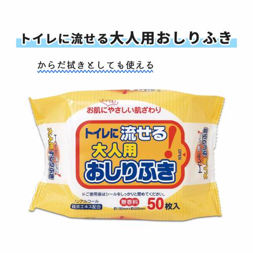 おしりふき ペーパーテック 50枚入り 大人用 流せる からだ拭き トイレに流せる大人用おしりふき おすすめ やさしい 便利 ラクラク 快適 介護 簡単 清潔