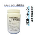 感染対策・予防関連品 国友工業 業務用 500g 除菌 消臭 洗濯槽快　業務用（スッキリ爽快） おすすめ スッキリ 爽快 清潔 衛生的 便利