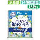 軽失禁パッド ユニ・チャーム 少量用 消臭 サッパリ 通気性 TCN吸水さらフィナプキンサイズ少量用 おすすめ 快適 サラサラ 使いやすい 便利 ラクラク