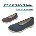 靴 屋外用 アスティコ 22.5 伸縮性 屈曲性 ラクラク すたこらさんソフト晴88 おすすめ 心地いい 安心 安全 ラクラク 便利 快適