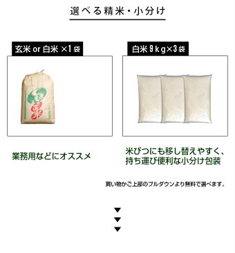 【クーポン利用で9,930円！】【29年産】熊本県【県北産】森のくまさん玄米30kg白米27kg【送料無料】/お米/熊本県産【米】【米30kg 送料無料】【米 30kg 送料無料】【米30kg】【玄米 30kg 送料無料】