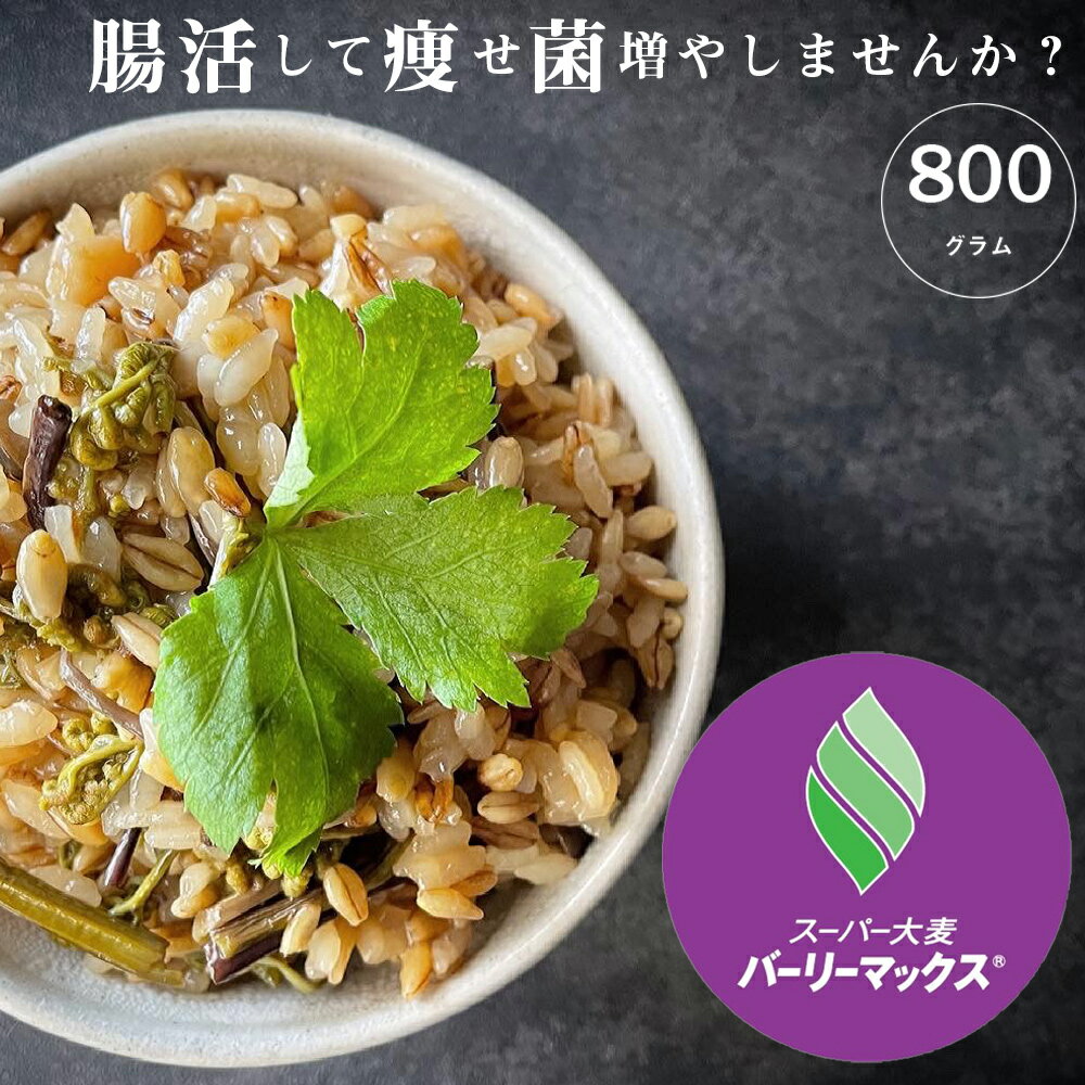 スーパー大麦 バーリーマックス 800g