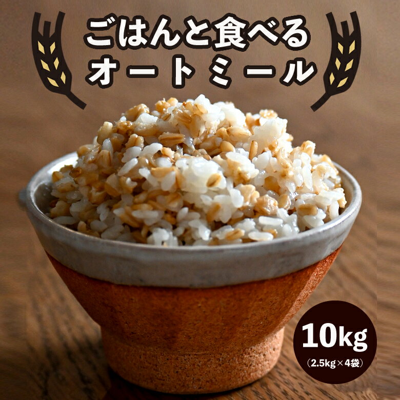 Ϥȿ٤륪ȥߡ 10kg(2.5kg4) ̵ ᤿  ϡեɥ