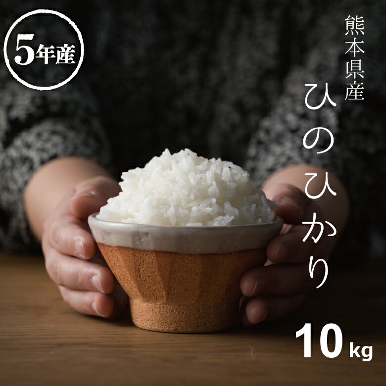 米 白米 10kg 送料無料 ヒノヒカリ 熊本県産 令和5年