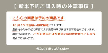 新米 予約【クーポンで8,280円!】【4年産】当店人気No.1 熊本県産【ひのひかり】玄米30kg白米27kg ヒノヒカリ/お米/熊本県産【米 30kg 送料無料】【玄米 30kg 送料無料】【米30kg 送料無料】 備蓄米 非常用 30キロ