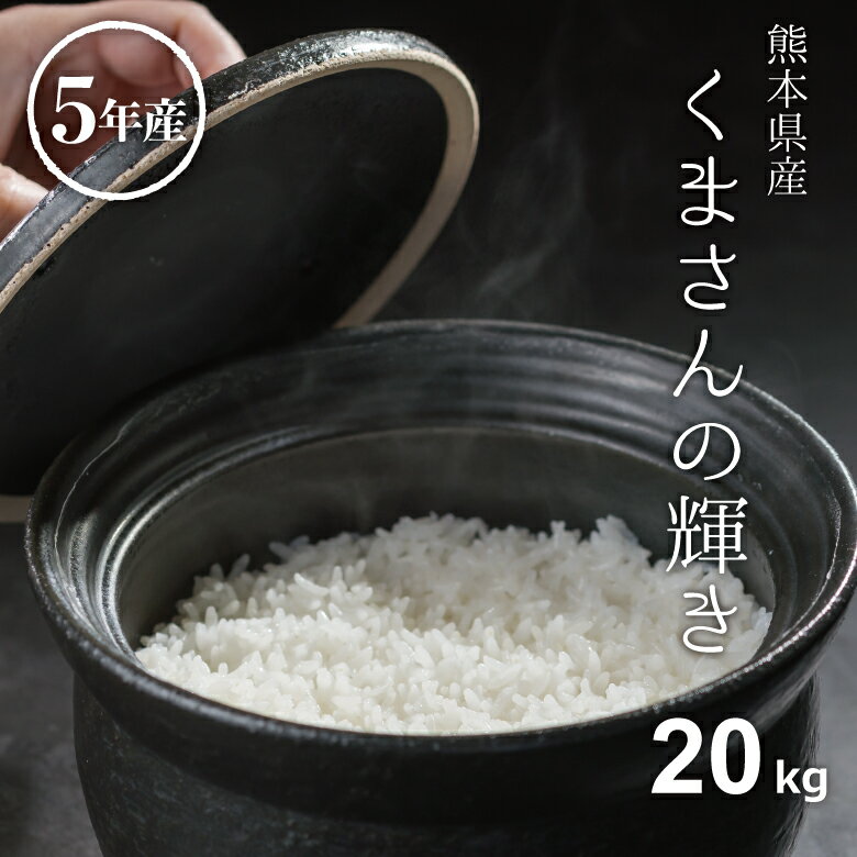 米 白米 玄米 20kg 送料無料 くまさんの輝き 熊本県産