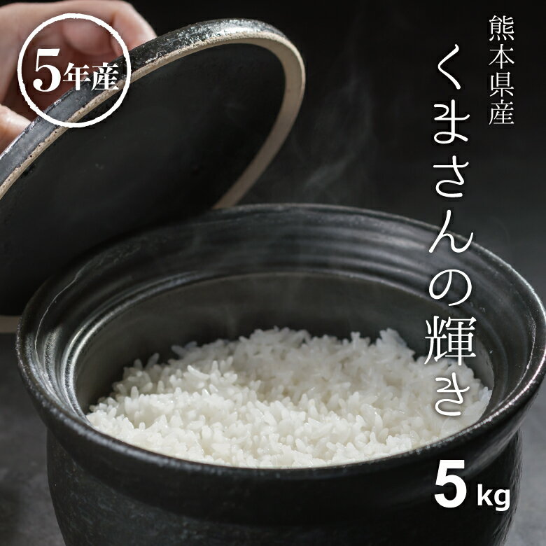 米 白米 5kg 送料無料 くまさんの輝き 熊本県産 令和5年産 米 5kg 送料無料 白米 お米 5kg 送料無料 米5kg 送料無料 こめたつ 備蓄米 非常用