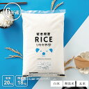 【母の日100円OFFクーポン配布中!】米 白米 玄米 20kg 送料無料 くまさんの輝き 熊本県産 令和6年産 米20キロ 送料無料 玄米 20kg 送料無料...