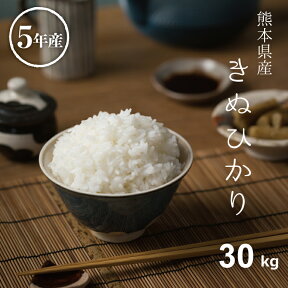 米 30kg 送料無料 キヌヒカリ 熊本県産 令和5年産 米30kg 送料無料 お米 30kg 送料無料 コメ きぬひかり 米 30kg 送料無料 備蓄米 非常用 白米