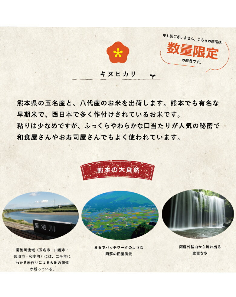 新米【クーポンで8,180円！】【4年産】熊本県産キヌヒカリ玄米30kg又は精米27kg　　【米30kg 送料無料】【お米 30kg 送料無料】米/お米/コメ【きぬひかり】【熊本県産】【米 30kg 送料無料】 備蓄米 非常用
