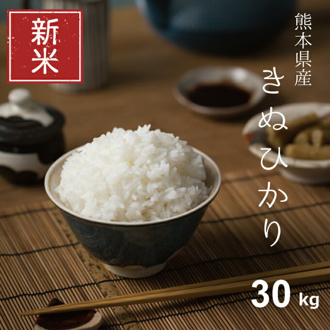 新米 予約 米 30kg 送料無料 キヌヒカリ 熊本県産 令和5年産 米30kg 送...