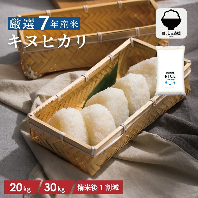 楽天市場】キヌヒカリ 20kgの通販