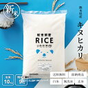 新米 米 10kg 送料無料 キヌヒカリ 熊本県産 令和7年産 きぬひかり 10キロ 玄米 10kg 米 10kg 送料無料 白米 お米 10kg 送料無料 米10kg 送料無料 こめたつ 備蓄用 非常用 精米後9kg あす楽