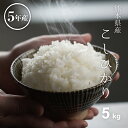 米 白米 5kg 送料無料 コシヒカリ 熊本県産 令和5年産 こしひかり 米 5kg 送料無料 白米 お米 5kg 送料無料 米5kg 送…