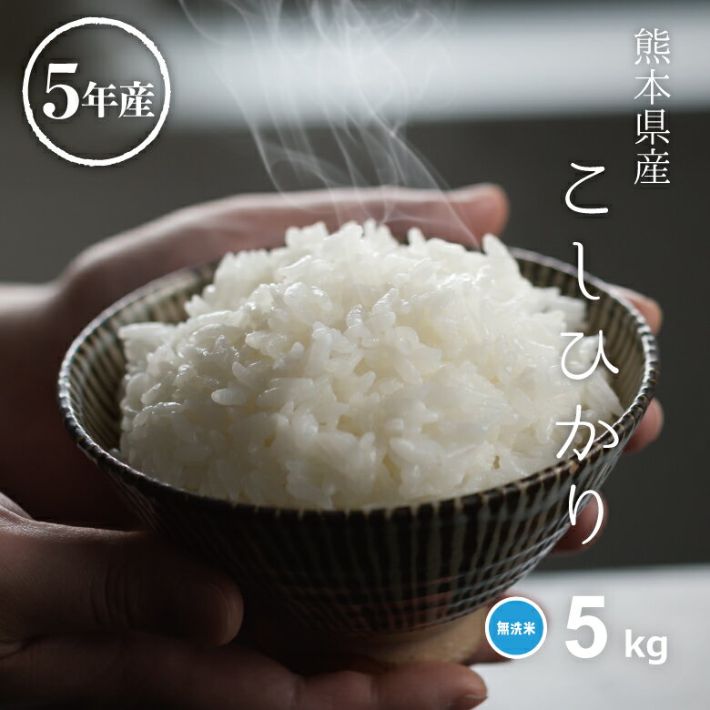 米 無洗米 5kg 送料無料 コシヒカリ 5kg×1 熊本県産 令和5年産 こしひかり 米 5kg 米5キロ 無洗米 送料無料 5kg お米 5kg 送料無料 備蓄米 非常用