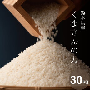 米 30kg 送料無料 くまさんの力 熊本県産 令和4年産 米30キロ 送料無料 玄米 30kg 送料無料 お米 30kg 送料無料 お米 30kg こめたつ 備蓄米 非常用 米30キロ 白米