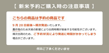 新米 予約【クーポンで9,480円!】【4年産】熊本県産 ミルキークイーン 玄米30kg 精米27kg【米30kg 送料無料】【お米 30kg 送料無料】米/お米/コメ熊本県産【米 30kg 送料無料】【送料無料!米 30kg】 備蓄米 非常用 米30キロ