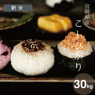 新米【クーポンで8,680円!】 4年産 宮崎県産コシヒカリ玄米30kg精米27kg【米30kg 送料無料】【お米 30kg 送料無料】米/お米/コメ【こしひかり】【宮崎県産】【米 30kg 送料無料】早期米 4年 こめたつ 備蓄米 非常用 30キロ