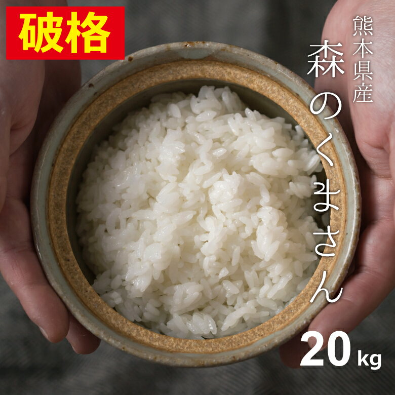 【150円OFFクーポン配布中！】米 白米 玄米 20kg 