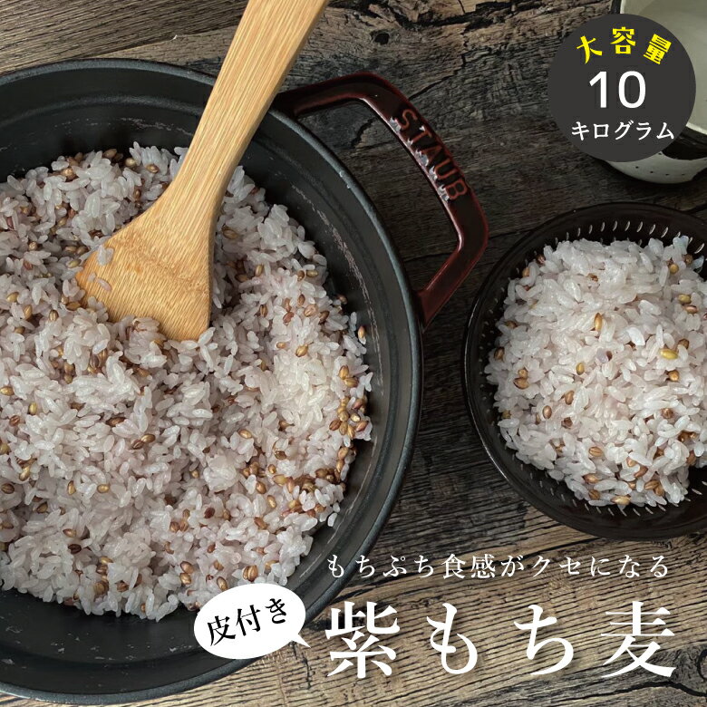 皮付き もち麦 10kg 国産 大容量【2.5kg 4袋セット】 もち麦 皮つき【もち麦 国産 送料無料】送料無料 ダイエット【国産 もち麦/無添加/ダイシモチ/モチムギ】もちむぎ 紫もち麦 こめたつ 自然…