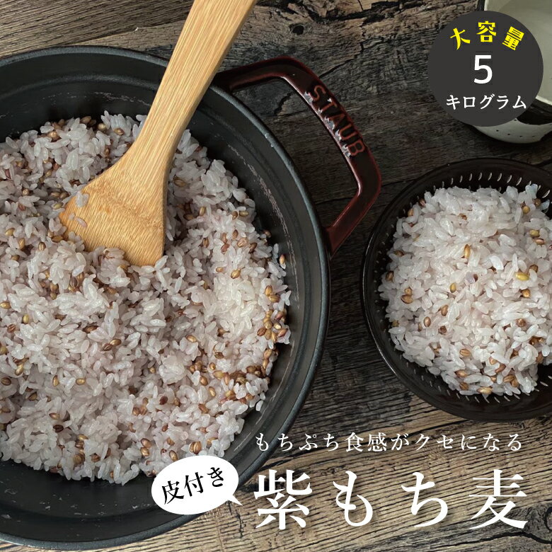 皮付き もち麦 5kg 国産 たっぷり もち麦 皮つき送料無料 ダイエットもちむぎ　紫もち麦 こめたつ 自然の蔵