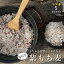 皮付き もち麦 5kg 国産 たっぷり【2.5kg×2袋セット】 もち麦 皮つき【もち麦 国産 送料無料】送料無料 ダイエット【国産 もち麦/無添加/ダイシモチ/モチムギ】もちむぎ　紫もち麦 こめたつ 自然の蔵