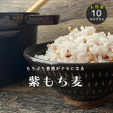 ＼パンダ皿プレゼント／皮付き もち麦 10kg 国産 大容量【2kg×5袋セット】 もち麦 皮つき【もち麦 国産 送料無料】送料無料 ダイエット【国産 もち麦/無添加/ダイシモチ/モチムギ】もちむぎ　紫もち麦 こめたつ 自然の蔵