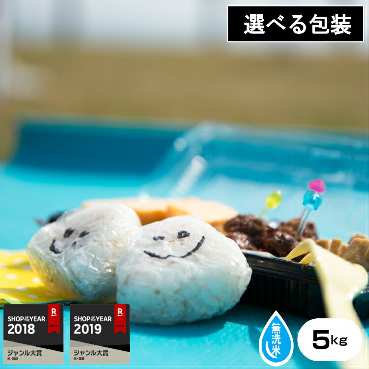 ★無洗米★【元年産】佐賀県産 さがびより 無洗米5kg　/ 【米5kg 送料無料】【...