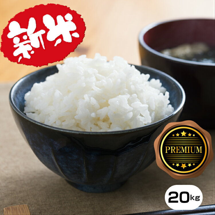 愛知県産 令和元年新米 キヌヒカリ20kg