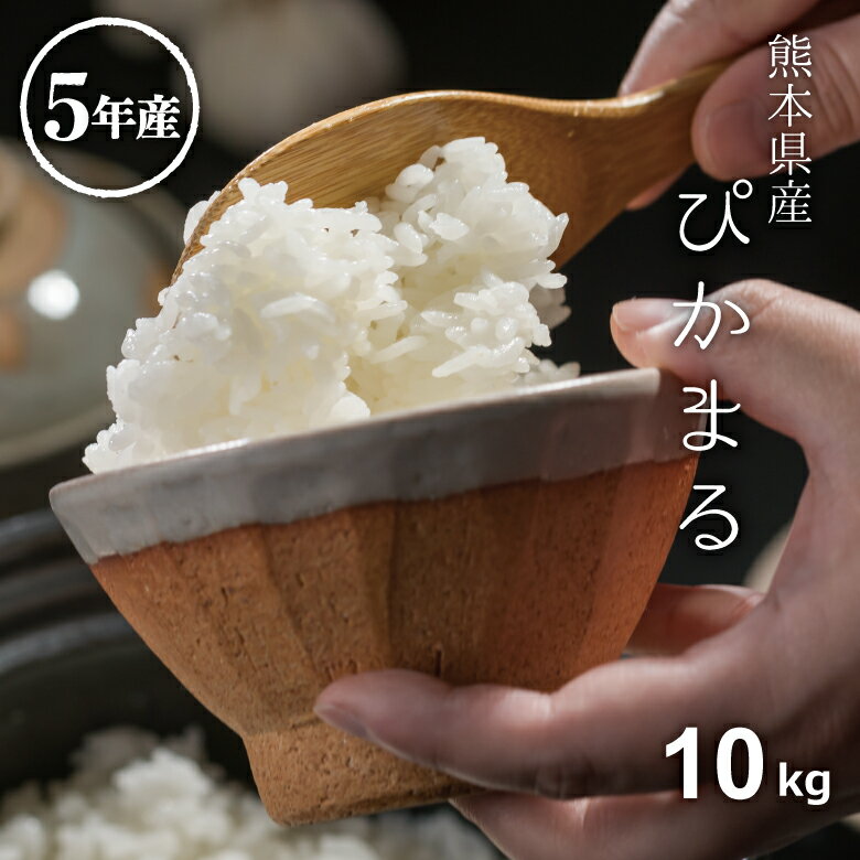 米 白米 10kg 送料無料 ぴかまる 熊本県産 令和5年産 米 10kg 送料無料 白米 お米 10kg 送料無料 米10kg 送料無料 こめたつ 備蓄米 非常用