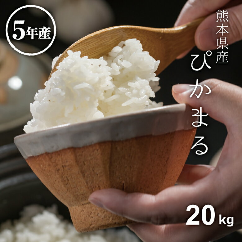 米 白米 玄米 20kg 送料無料 ぴかまる 熊本県産 令和5年産 米20キロ 送料無料 玄米 20kg 送料無料 お米 20kg 送料無料 お米 20kg こめたつ 備蓄米 非常用 米20キロ