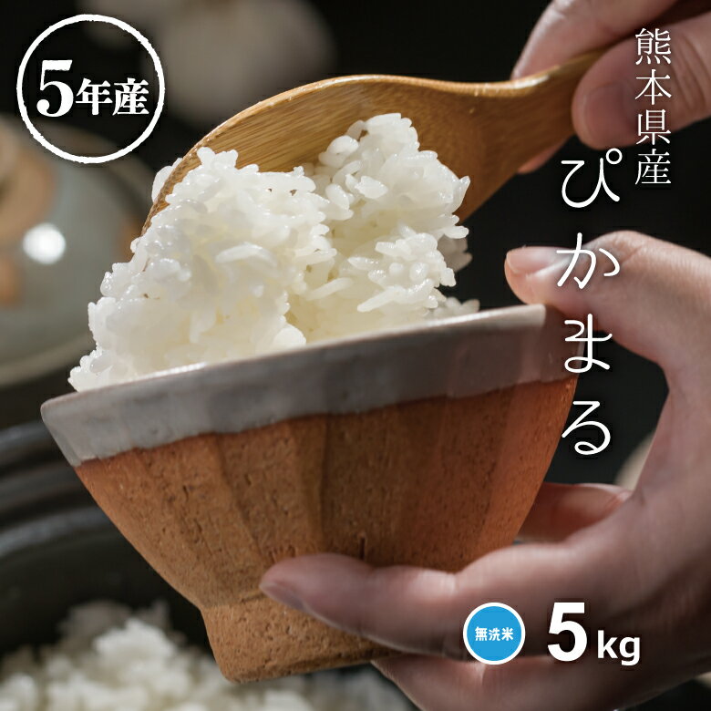 米 無洗米 5kg 送料無料 ぴかまる 5kg 熊本県産 令和5年産 米 5kg 米5キロ 無洗米 送料無料 5kg 備蓄米 非常用