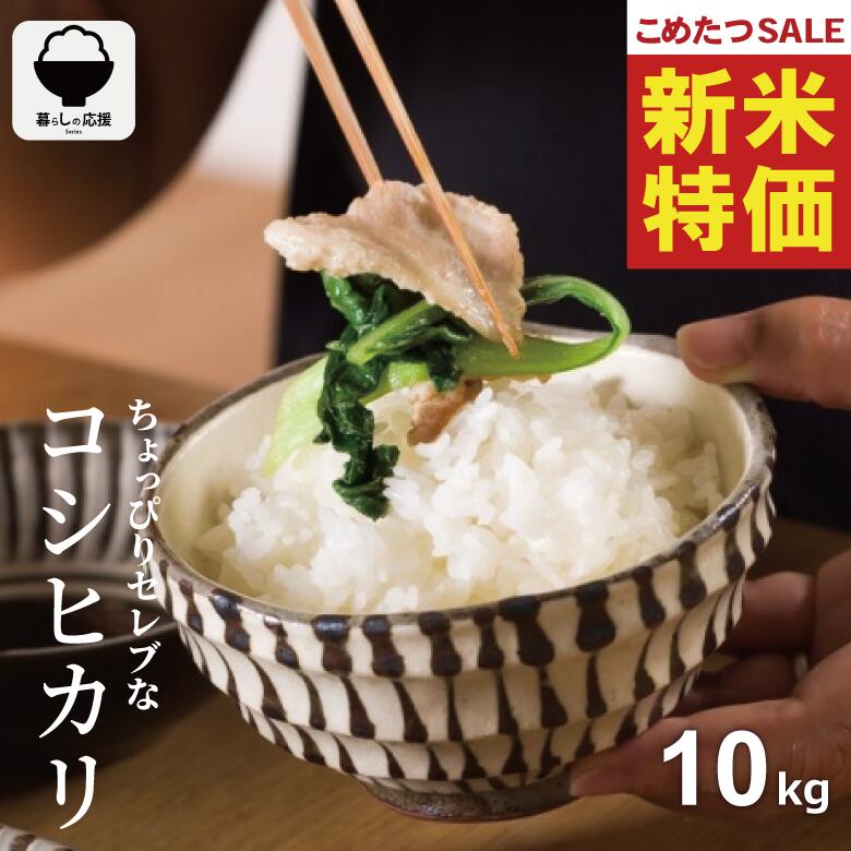 【8年産新米大特価！！】 米 10kg 令和8年産 ちょっぴりセレブなコシヒカリ コシヒカリ 10kg 送料無料 米 10kg 送料…