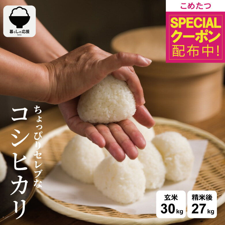 【先着順！楽天モバイル感謝祭1500円OFFクーポン配布+最終処分価格】【暮らし応援...