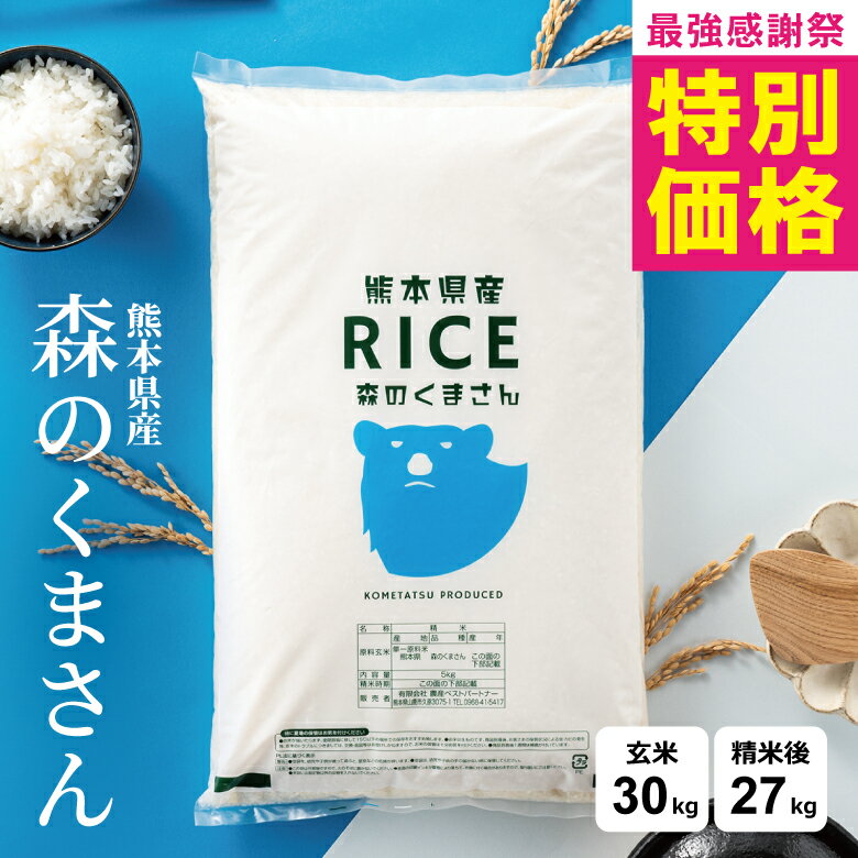 森のくまさん
