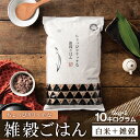米 10kg ちょっぴりリッチな雑穀ごはん 10kg (5kg×2袋) 送料無料 雑穀 うるち米 玄米 黒米 もち麦 有機オーツ麦 こめたつ お米