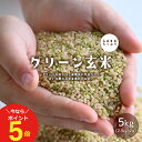 【今だけポイント5倍！4/13土10:00～4/17水09:59迄】グリーン玄米 5kg(2.5kg×2袋) 玄米【送料無料】 送料無料 こめたつ 若い 未熟な 玄米 5年産 青玄米