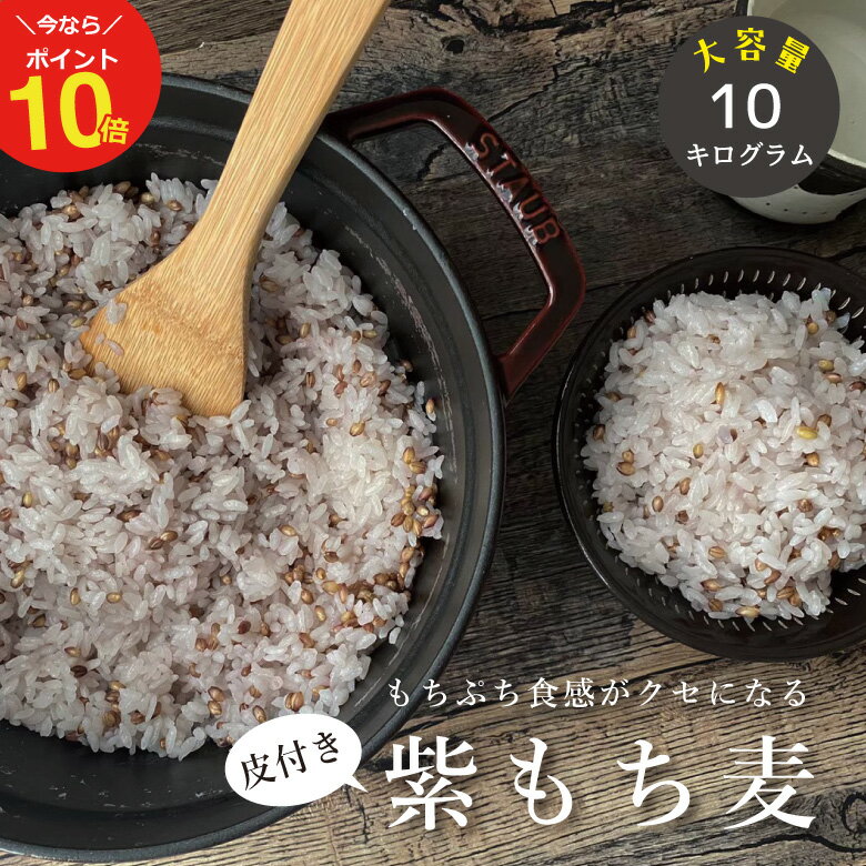 【今ならポイント10倍！〜6/1(土)15:59迄！】皮付き もち麦 10kg 国産 大容量【2.5kg×4袋セット】 もち麦 皮つき【もち麦 国産 送料無料】送料無料 ダイエット【国産 もち麦/無添加/ダイシモチ/モチムギ】もちむぎ　紫もち麦 こめたつ 自然の蔵