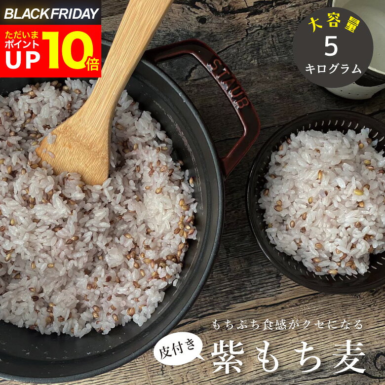 【今なら!ポイント10倍!〜11/28(金)09:59まで!】皮付き もち麦 5kg 国産 たっぷり【2.5kg×2袋セット】 もち麦 皮つき【もち麦 国産 送...