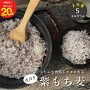 皮付き もち麦 5kg 国産 たっぷり もち麦 皮つき送料無料 ダイエットもちむぎ　紫もち麦 こめたつ 自然の蔵